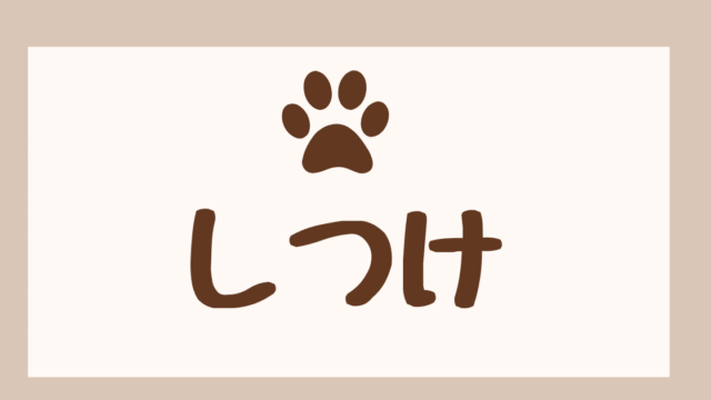 しつけ