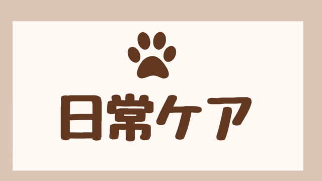 日常ケア