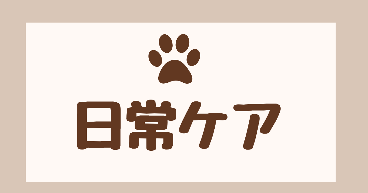 日常ケア