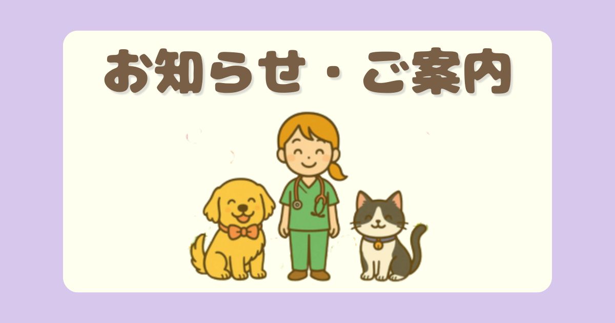ブログの更新情報、LINEスタンプ、制作物、サービスのご案内など、ももブログからのお知らせをまとめています。最新のお知らせはこちらをご覧ください。