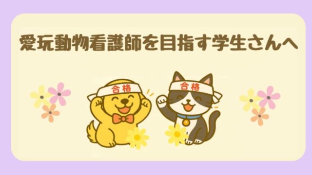 愛玩動物看護師を目指す学生さんへ