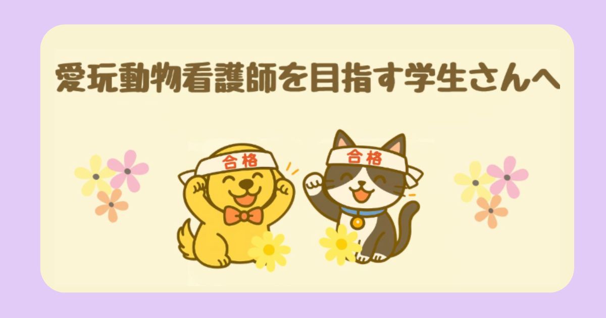 愛玩動物看護師を目指す学生さんへ