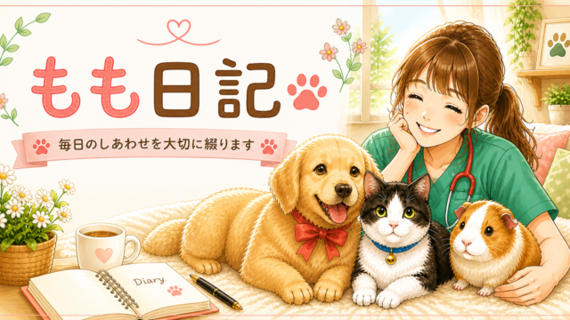 もも日記🐾