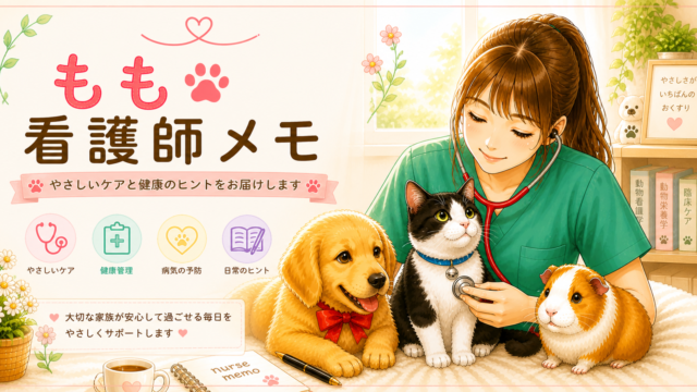 もも🐾看護師メモ